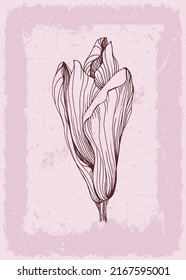 Magnolia Botanical wall art tropical illustration. Foliage line art drawing with retro and abstract shape. Grunge Plant Art design for print, cover, wallpaper, Minimal and natural wall art.