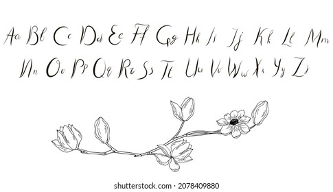 Magnolia branch. Alphabet, script with uppercase and lowercase letters. Vector illustration.