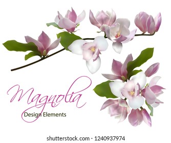 Magnolia branch and bouquet isolated spring flower blossom vector illustration set. Pink blooming tree elements design. Bloom flowers branch on white, vector magnolia tree blossom with pink petals.