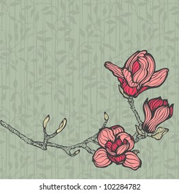 Magnolia branch of flowers, hand drawn original style vector illustration