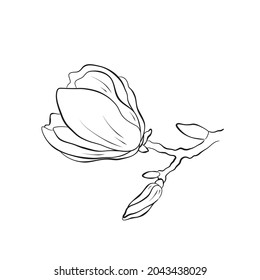magnolia bud image. hand drawn contour flower illustration. vector floral element for greeting card and invitation design