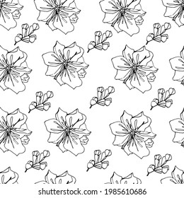 Magnolia Knospenmuster. Große Frühlingsblumen. Farbbuch für Kinder und Erwachsene. Für Tapeten, Design, Farben, Textilien, Papier. Stockgrafiken, isolieren. 