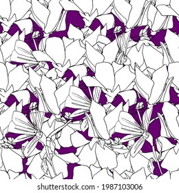 Magnolia buds pattern. Large spring flowers. coloring book for children and adults. For wallpaper, design, coloring, textiles, paper. Stock graphics, isolate.