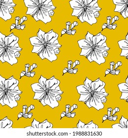 Magnolia buds pattern. Large spring flowers. coloring book for children and adults. For wallpaper, design, coloring, textiles, paper. Stock graphics, isolate. 