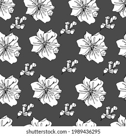 Magnolia buds pattern. Large spring flowers. coloring book for children and adults. For wallpaper, design, coloring, textiles, paper. Stock graphics, isolate. 