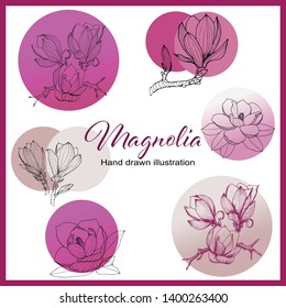 Magnolia collection. Set of hand drawn  floral elements. Vectorial flowers for your design.