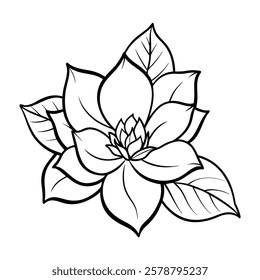 magnolia floral edge line art 