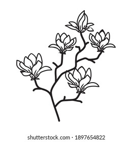 Magnolia Floral Hand Drawn. Vector Design Illustration Sign Logo.