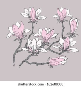 Magnolia Flower
