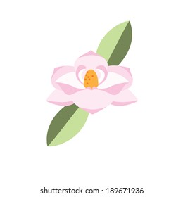 magnolia flower
