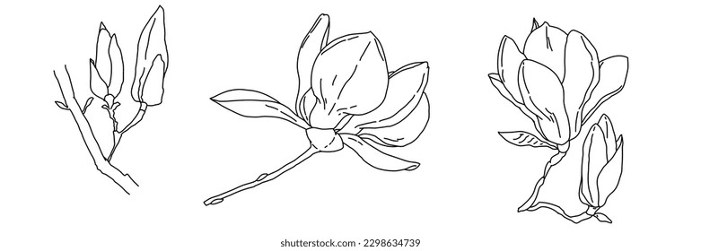 Magnolia flower blooming art. Hand drawn realistic detailed vector illustration. Black outline and pink shape clipart isolated collection.