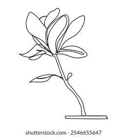 Magnolia flower blooming art. Hand drawn realistic detailed vector illustration. Black and white clipart collection.