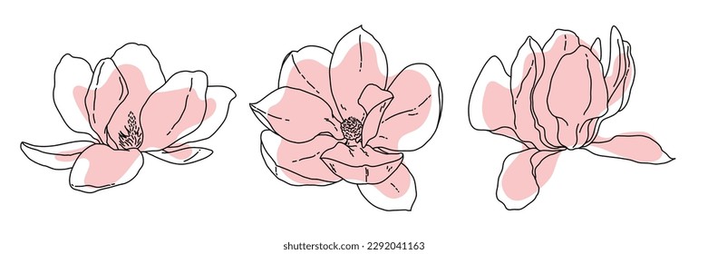 Magnolia flower blooming outline. Hand drawn realistic detailed vector illustration. Black and white clipart isolated.