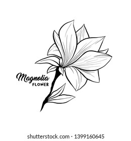Magnolia flower in blossom, beautiful home decor and interior design, isolated illustration vector. Floral outline contour drawing for laser cuttling files. Spring blossom. Wildflower botanical plant.