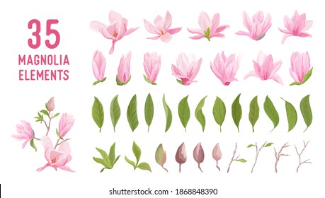 Magnolia flower, blossom, leaves, bouquet vector set. Template design pastel floral elements for wedding, spring invitation, summer poster, background, brochure