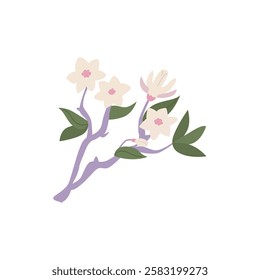 Magnolia flower branch. Floral vector flat illustration on isolated background