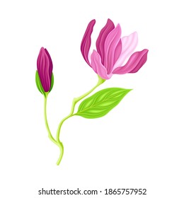 Magnolia Flower Bud with Showy Petals on Green Stalk Vector Illustration