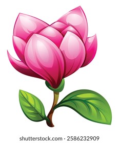 Magnolia flower with delicate pink petals and green leaves. Vector illustration isolated on white background