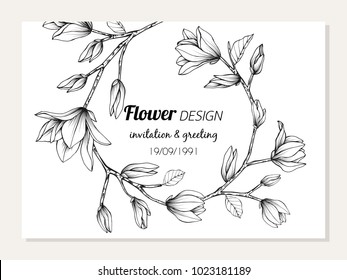 Magnolia Flower Frame Drawing  Illustration For Invitation And Greeting Card Design.