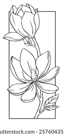 magnolia flower in frame. vector illustration in sketch style. coloring