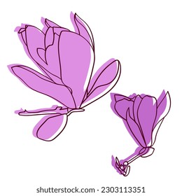 Magnolia flower graphic. Vector.Pattern.Image on white and colored background.