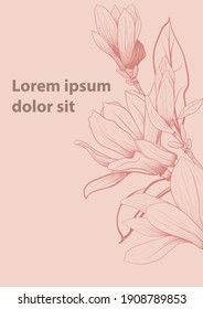 Magnolia flower Hand drawing   sketch line art white backgrounds hand drawn botanical vector magnolia for spring background texture wrapper pattern 