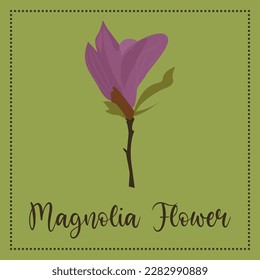 
Magnolia flower illustration and vector item