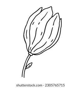 Magnolia flower isolated white background  Vector hand  drawn illustration in outline style  Perfect for cards  decorations  logo   various designs  Botanical clipart 