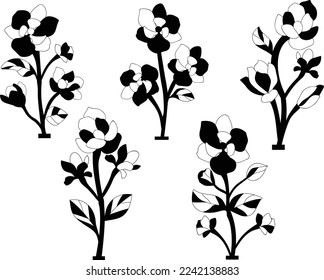 Magnolia Flower isolated vector Silhouettes