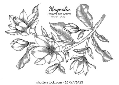 8,096 Line art magnolia Images, Stock Photos & Vectors | Shutterstock