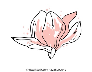 Magnolia flower line art Contemporary floral design. Vector illustration