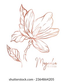 Magnolia flower line illustration set. Hand drawn rose gold outline wedding herb, elegant leaves for invitation save the date card. Botanical trendy greenery vector collection for web, print, posters.