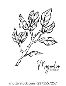 Magnolia flower line illustration set. Handdrawn contour outline of wedding herb, elegant leaves for invitation save the date card. Botanical trendy greenery vector collection for web, print, posters.