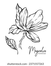Magnolia flower line illustration set. Handdrawn contour outline of wedding herb, elegant leaves for invitation save the date card. Botanical trendy greenery vector collection for web, print, posters.