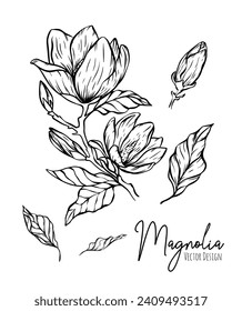 Magnolia flower line illustration set. Hand drawn black outline wedding herb, elegant leaves for invitation save the date card. Botanical trendy greenery vector collection for web, print, posters.