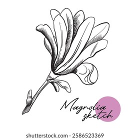 Magnolia. Flower. Linear sketch. Botany. Abstract outline floral . Vector for tattooing. abstract coloring page. For cards, web, invitations.