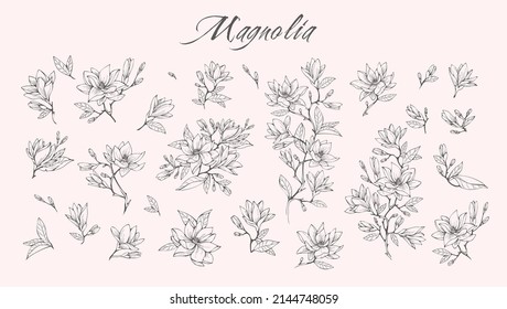 Magnolia flower logo and branch set. Hand drawn line wedding herb, elegant leaves for invitation save the date card. Botanical rustic