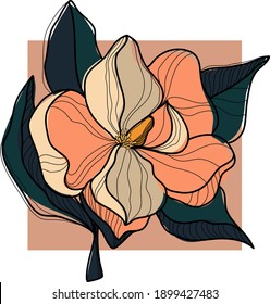
Magnolia flower on a geometric background. Vector hand-drawn floral illustration