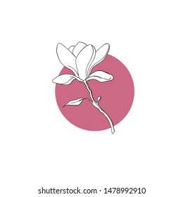 Magnolia flower on pink circle. Vector illustration.