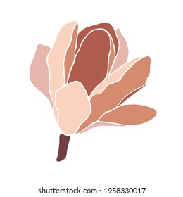 Magnolia flower on white background, closeup. Style floral collage in pastel color palette. Modern minimalist art. Illustration for wedding invitation, greeting card, poster, other designs. Vector.