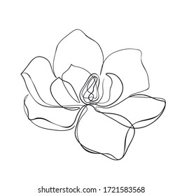 Magnolia flower one line drawing