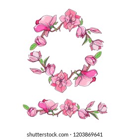 Magnolia flower set with wreath. Vector hand drawn botanical illustration. Isolated objects on white