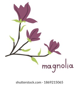 Magnolia flower simple vector illustration
