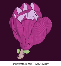 Magnolia flower - vector clip art. Use printed materials, signs, objects, sites, maps. Abstract wallpaper with floral motifs.