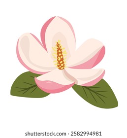 Magnolia flower. Vector clipart illustration on isolated background.