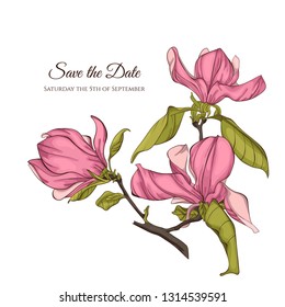 Magnolia flower vector illustration.