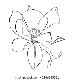 Magnolia flower vector line art illustration  Abstract floral in continuous hand drawing outline  Minimalistic modern one line art black   white  Tropical flower graphic sketch illustration icon