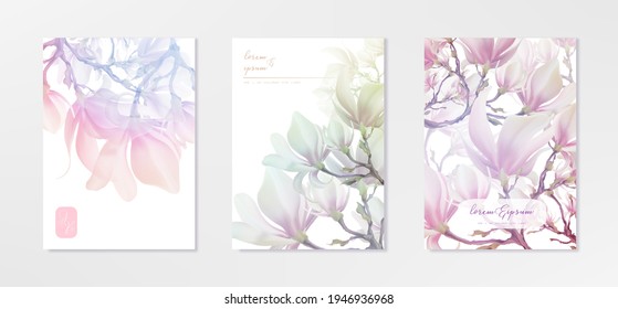 Magnolia flower, vector pink blossom. Sakura floral design. 3d minimal illustration, rose bloom.