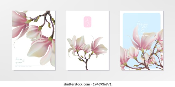 Magnolia flower, vector pink blossom. Sakura floral design. 3d minimal illustration, rose bloom.