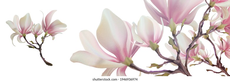 Magnolia flower, vector pink blossom. Sakura floral design. 3d minimal illustration, rose bloom.
